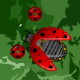 Жуки-убийцы | Bug Slayer