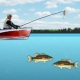 Ловля окуней | Bass Fishing Pro