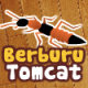 Охота на насекомых | Berburu Tomcat