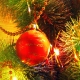 Новогодний тест Деду Морозу | New Year Test To Santa Claus