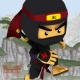 Мастер Ниндзя | Ninja Master