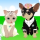 Свадьба животных | Pet Wedding