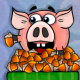 Добыча жёлудей | Piggy Wiggy