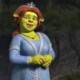 Шрек и Фиона | Shrek and Fiona