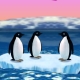 Турбопингвины | Turbo Penguins
